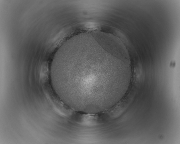 X0000113350320200909291101