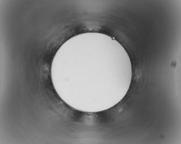 X0000113350321200909291101