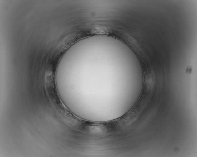 X0000113350322200909291101