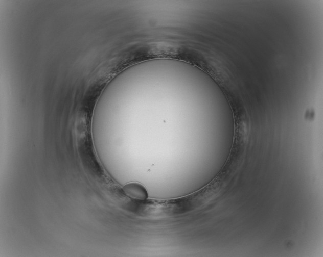 X0000113350323200909291101