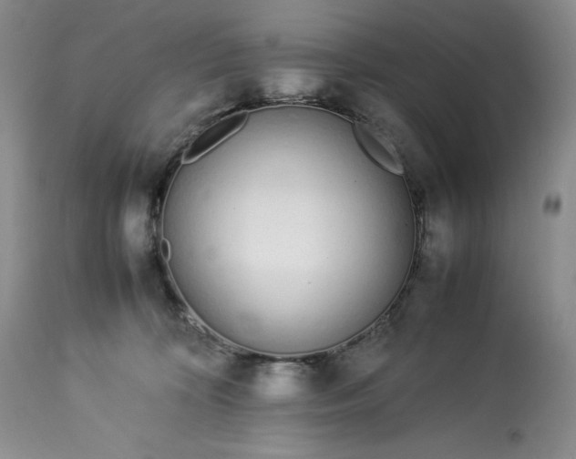 X0000113350324200909291101