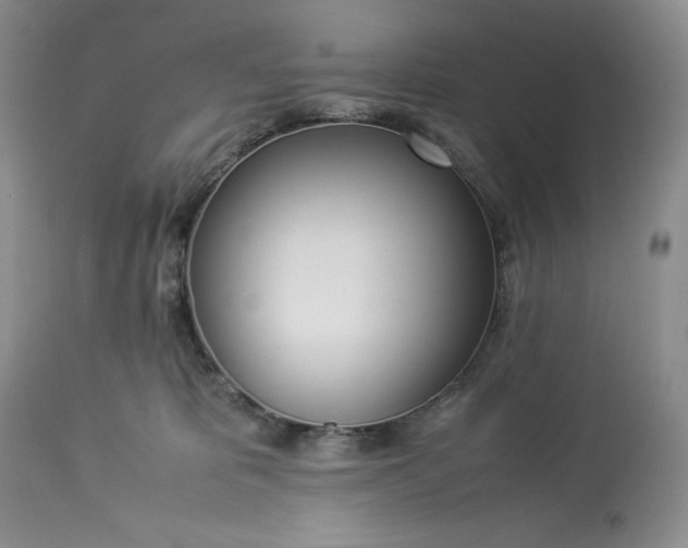 X0000113350325200909291101