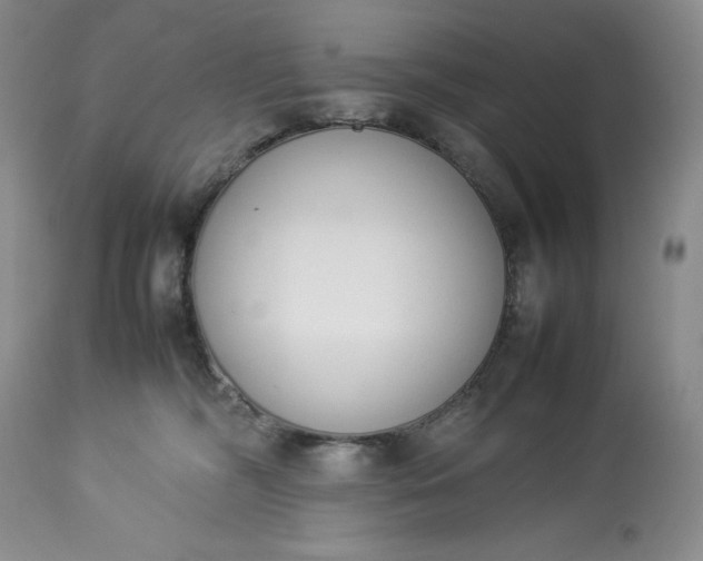 X0000113350326200909291101