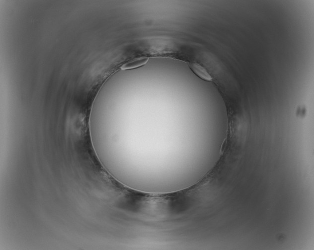 X0000113350327200909291101