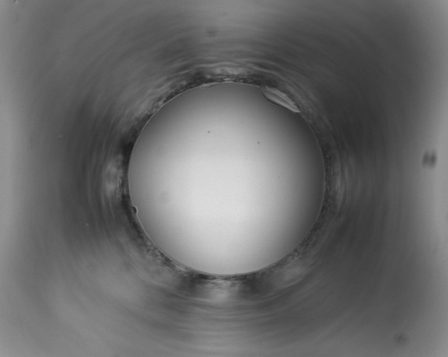 X0000113350328200909291101