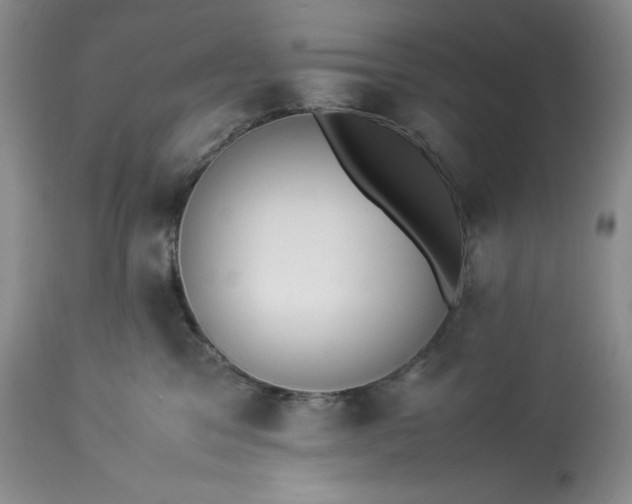 X0000113350329200909291101