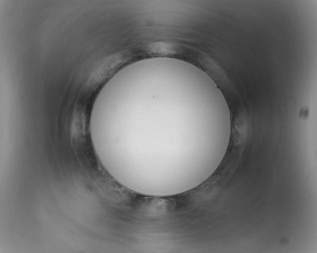 X0000113350330200909291101