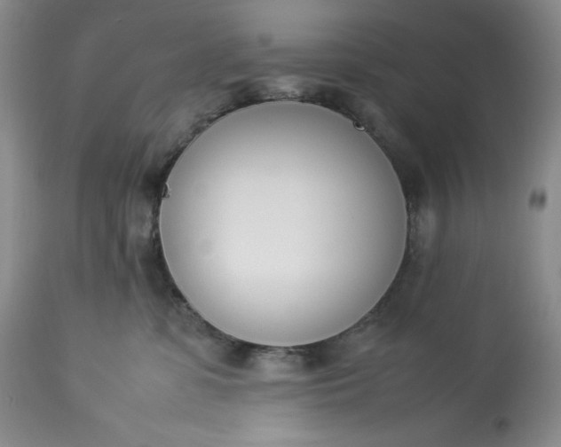 X0000113350331200909291101