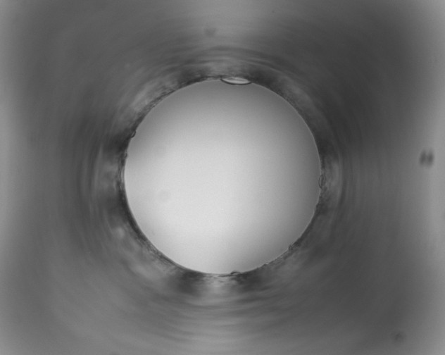 X0000113350333200909291101