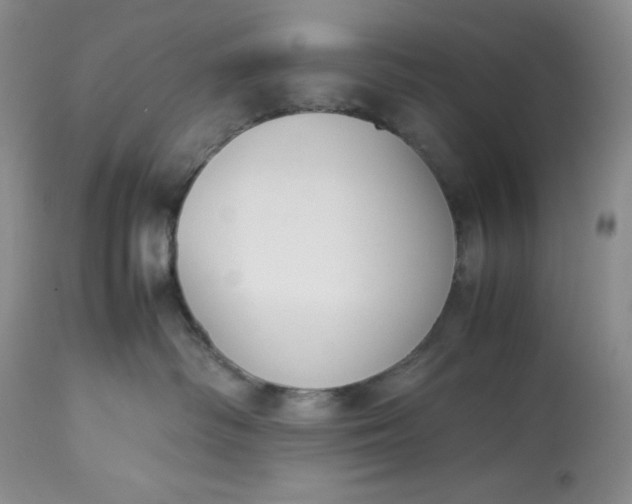 X0000113350334200909291101