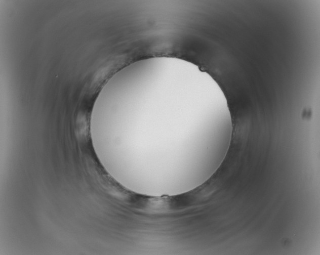 X0000113350335200909291101