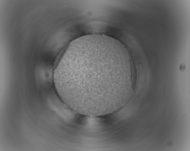 X0000113350336200909291101