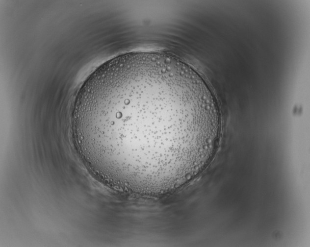 X0000113350337200909291100