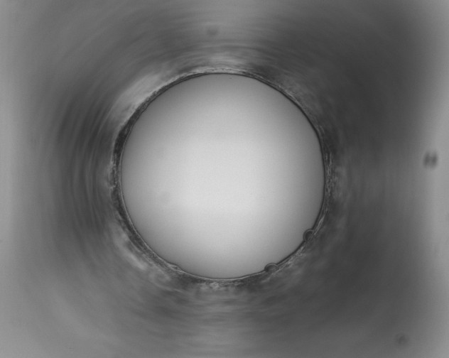 X0000113350338200909291100