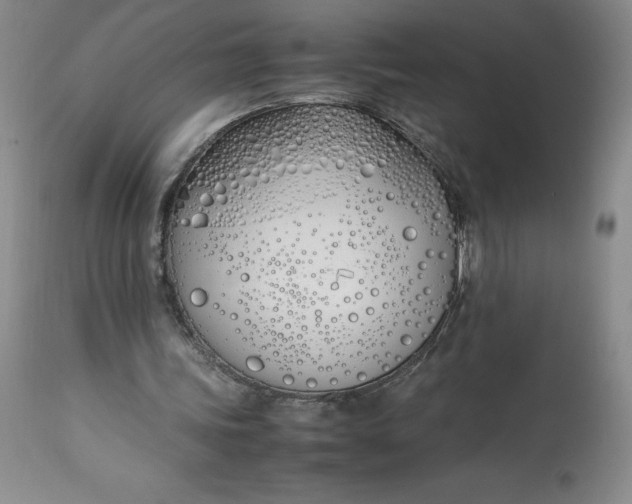 X0000113350339200909291100