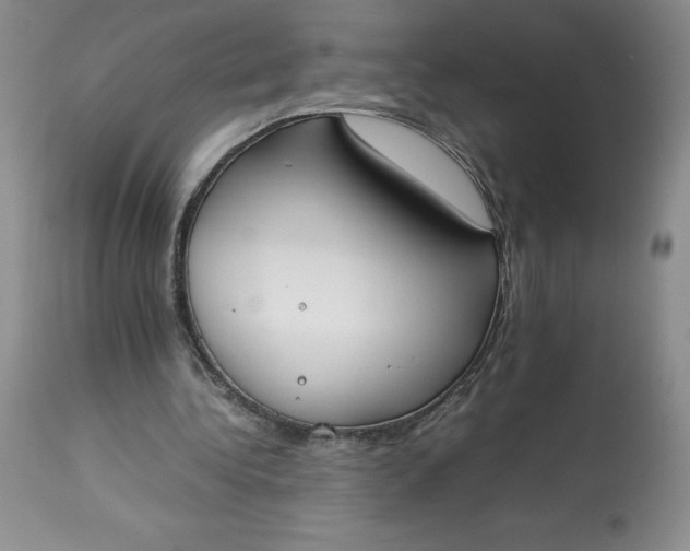 X0000113350340200909291100