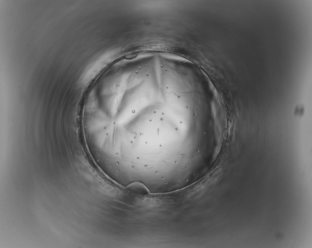 X0000113350341200909291100