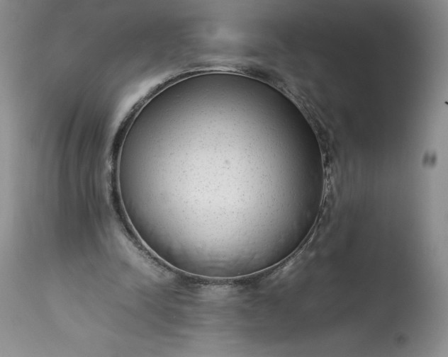 X0000113350342200909291101