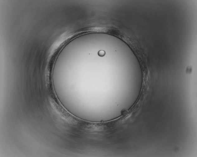 X0000113350343200909291101