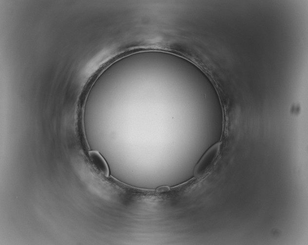 X0000113350344200909291101