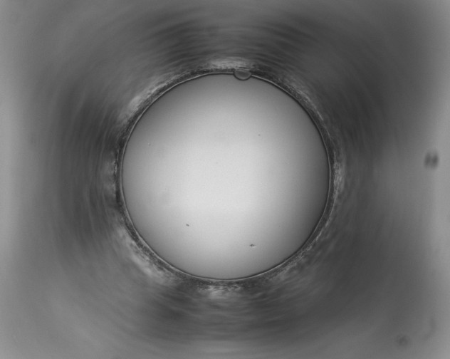 X0000113350345200909291101