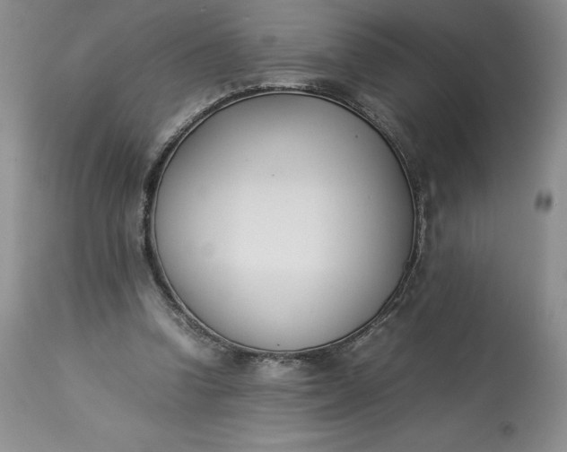 X0000113350346200909291101