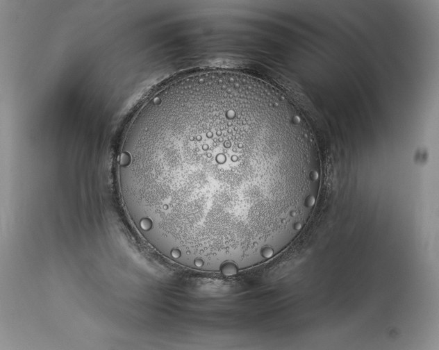 X0000113350347200909291101