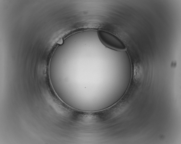 X0000113350348200909291101