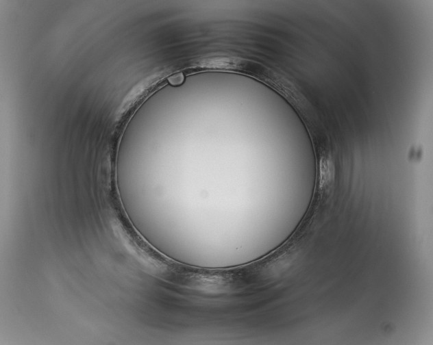 X0000113350349200909291101