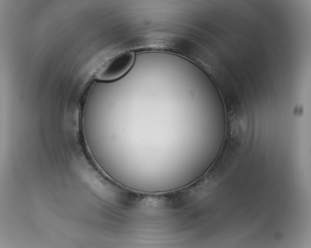 X0000113350350200909291101