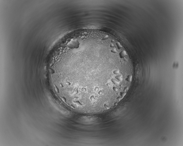 X0000113350351200909291101