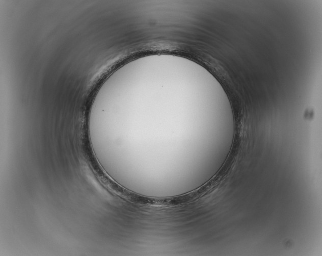 X0000113350352200909291101