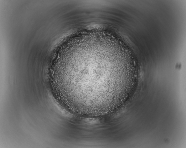 X0000113350353200909291101