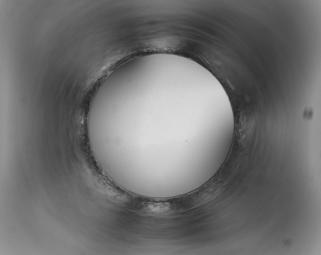 X0000113350355200909291101