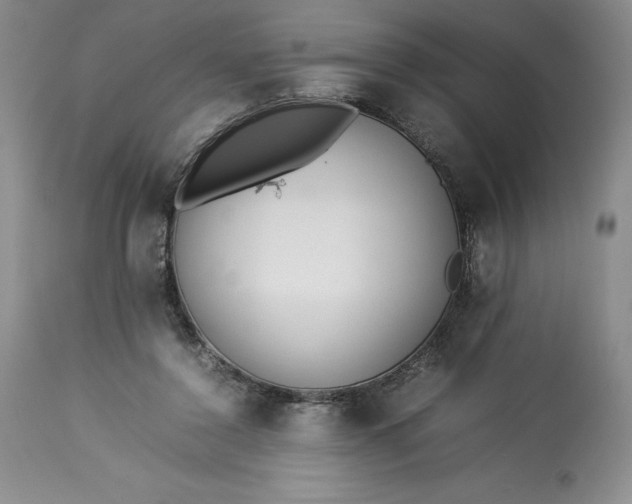 X0000113350356200909291101