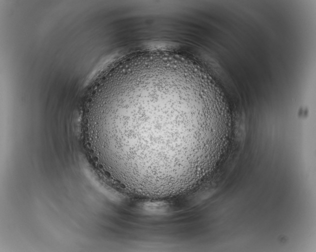 X0000113350357200909291101