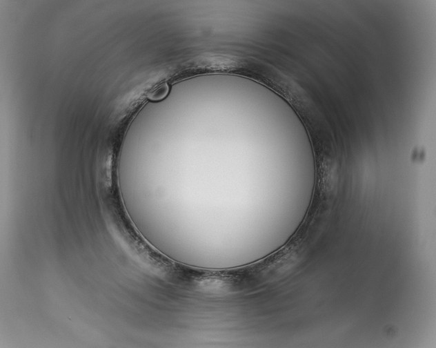 X0000113350358200909291101