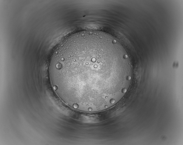 X0000113350359200909291101