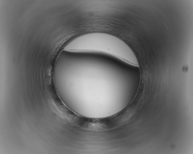 X0000113350360200909291101