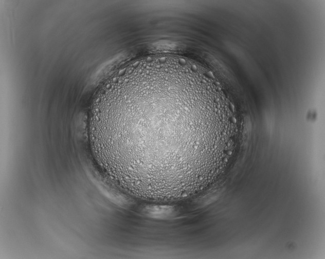 X0000113350361200909291101