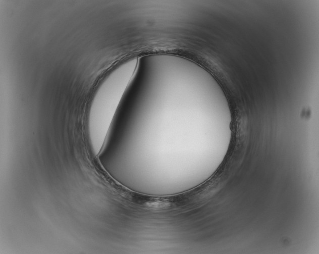 X0000113350362200909291101