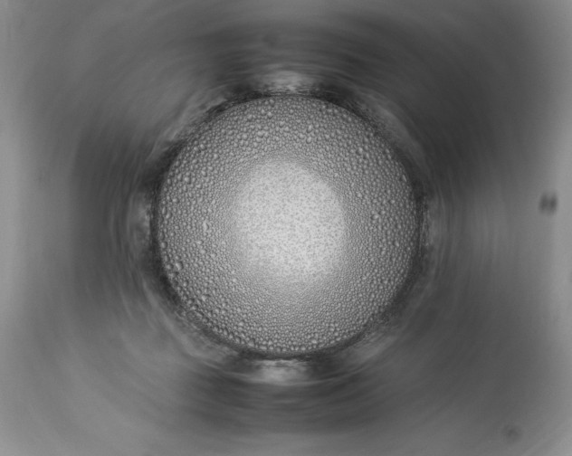 X0000113350363200909291101