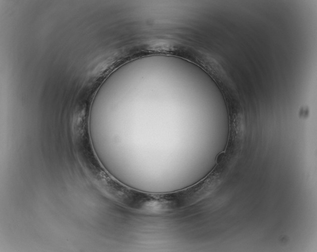 X0000113350364200909291101