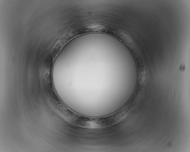 X0000113350365200909291101