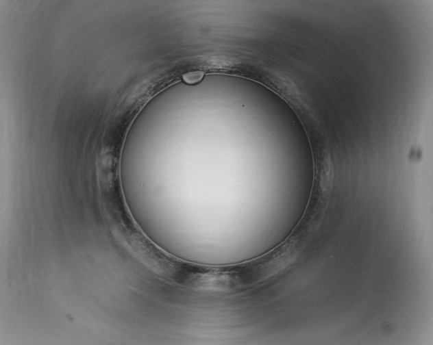 X0000113350366200909291101