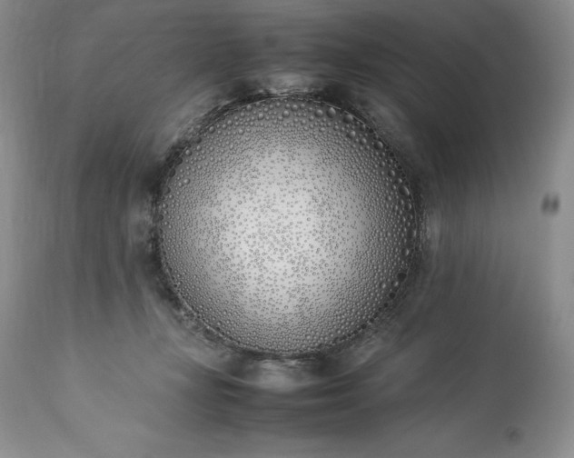 X0000113350367200909291101