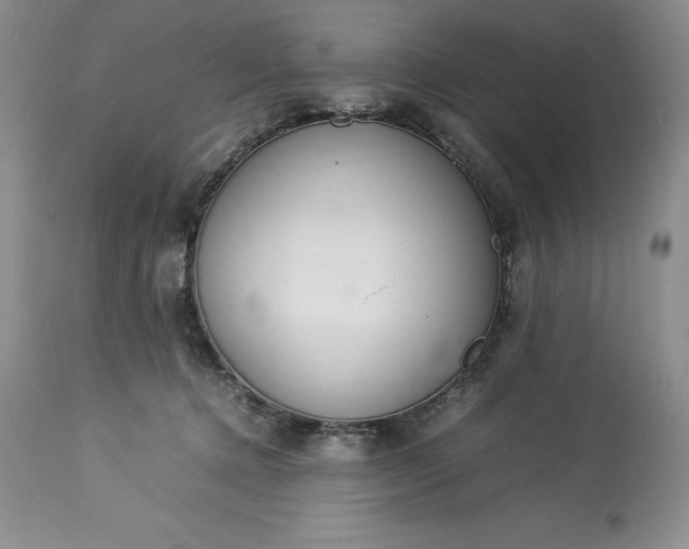 X0000113350368200909291101