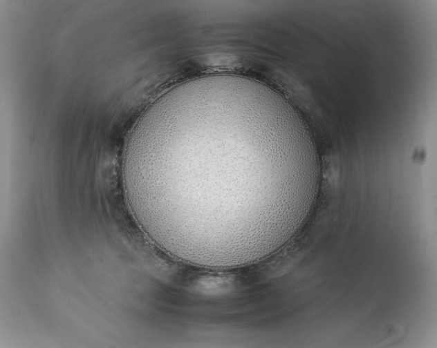 X0000113350369200909291101