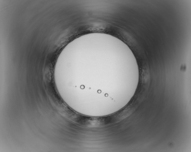 X0000113350370200909291101