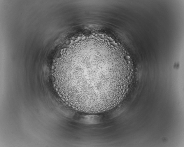 X0000113350371200909291101